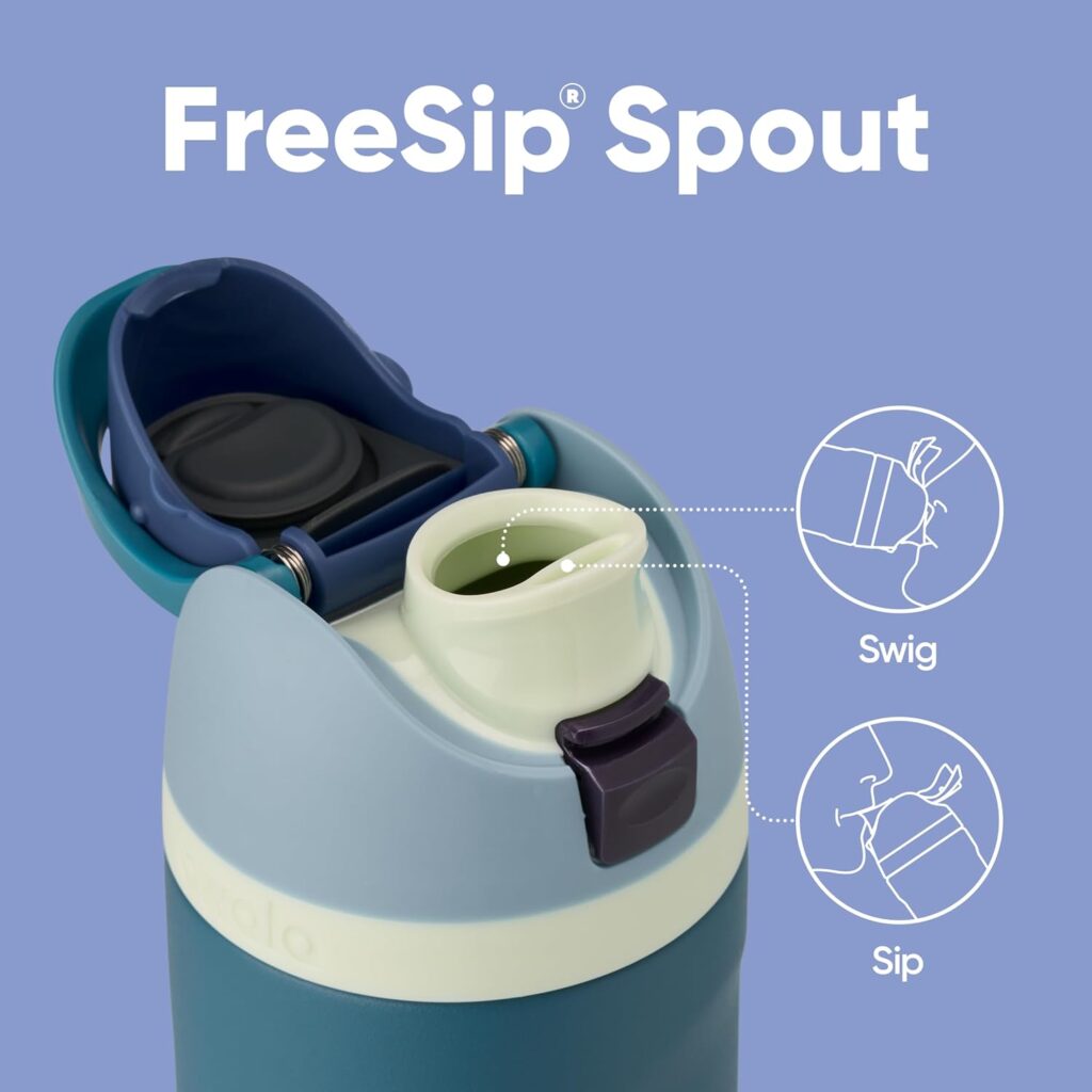 Insulated Stainless Steel Water Bottle with Straw