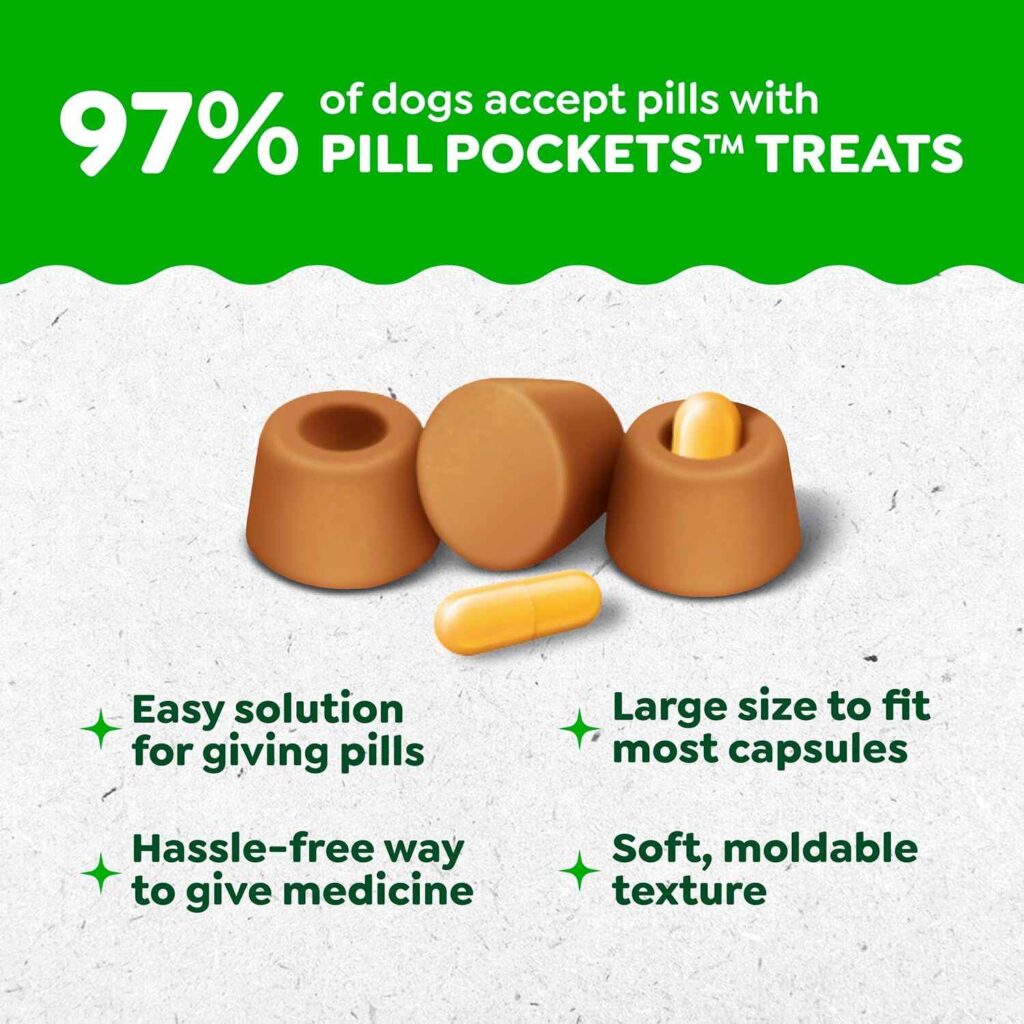  A happy dog easily taking its daily medication hidden inside a Greenies Pill Pocket treat.