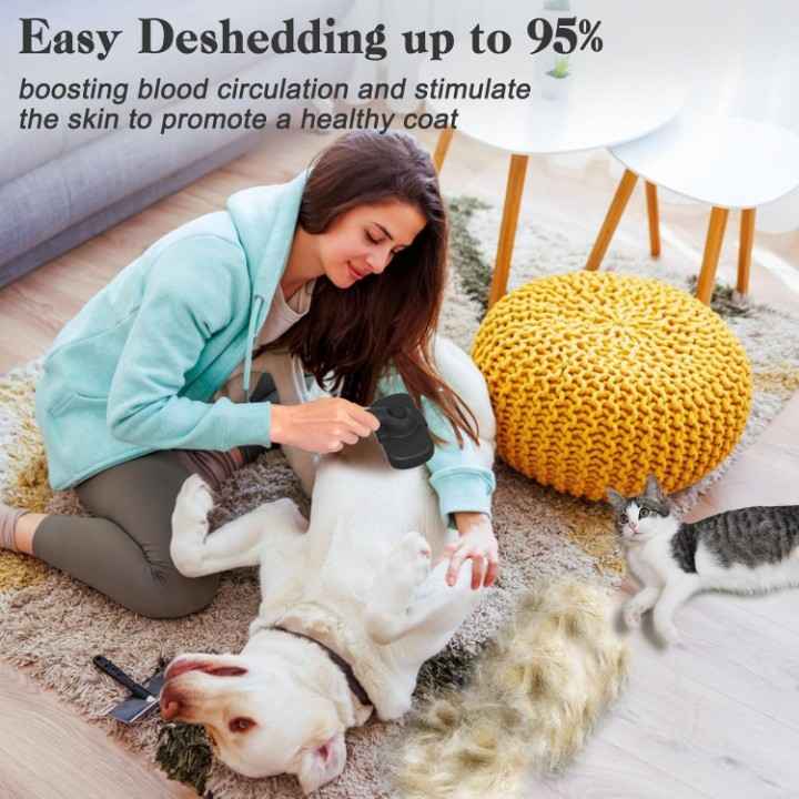 Loose fur removed using Dipoo self cleaning shedding brush